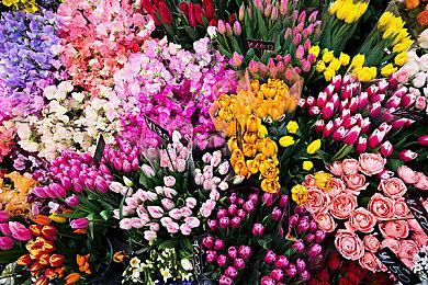 《野火》游戏艺术图被区块链游戏盗用 太无耻了